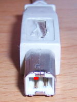 Conector USB B Macho